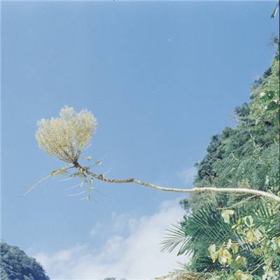 龙傲天下破解版下载