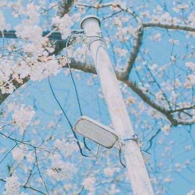 山海经前传手游下载