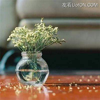 乾坤一剑破解版下载