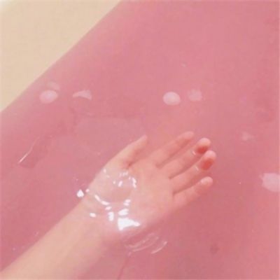daryl手机版下载